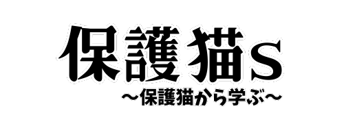 保護猫S　保護猫たちから学ぶ